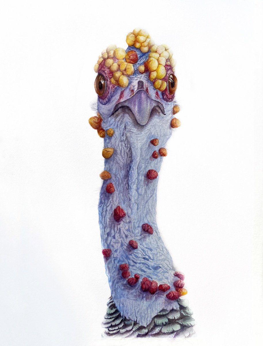 Impressionistic Animal Watercolour By Tetiana Savchenko, 8 X 11", Ocellated Turkey, Playful Bird, Original Artwork