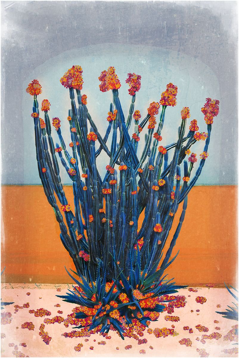 Surrealistic Botanical Photograph By Nadia Attura, 28 X 39", Cactus Wall, Original Artwork
