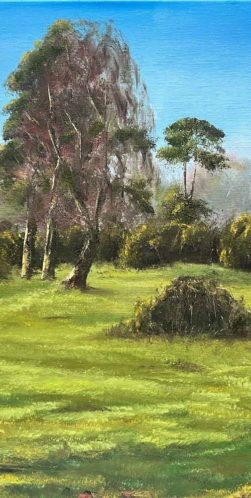 Canada Common New Forest by Kamil Woj