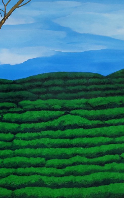 Tea Gardens of Assam III by Sreya Gupta