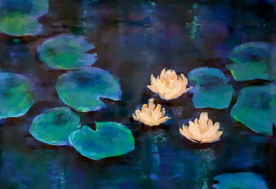 Water Lilies