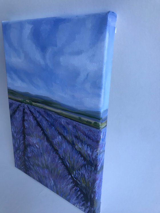 Provence field 2 Oil Painting on canvas 18x26cm