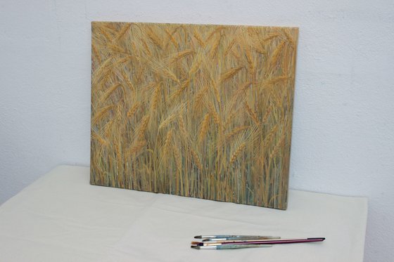 Cereals 2022 , acrylic on canvas, 45 x 55 cm
