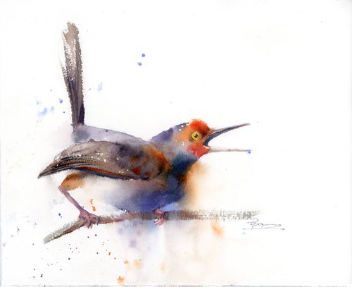 Watercolor Robin (10.5x8.5) by Olga Shefranov (Tchefranov)