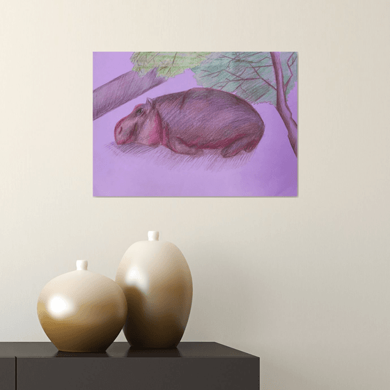 Hippo