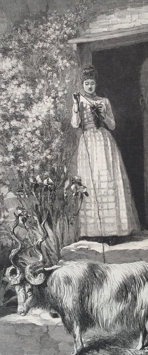 Knitting by Tudor Evans