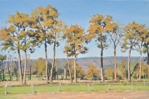 Cover image for Artfinder's picks for May collection