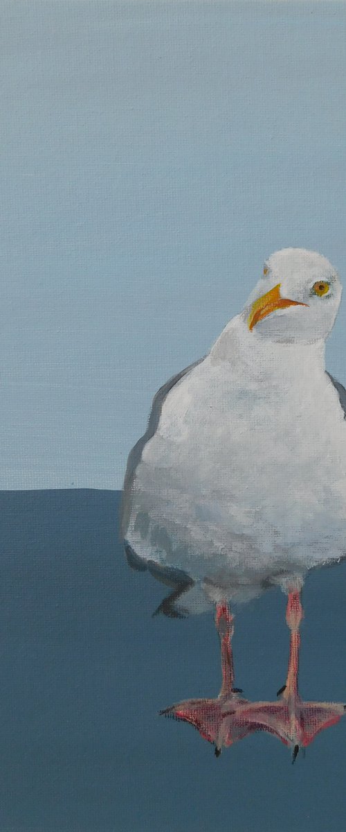 Seagull by Nichola Artemenko