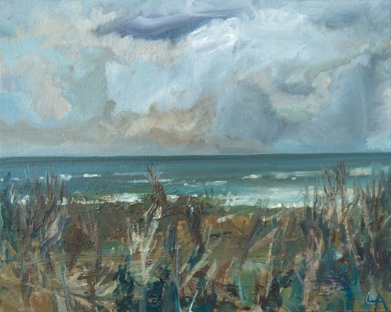 Weathered Coast