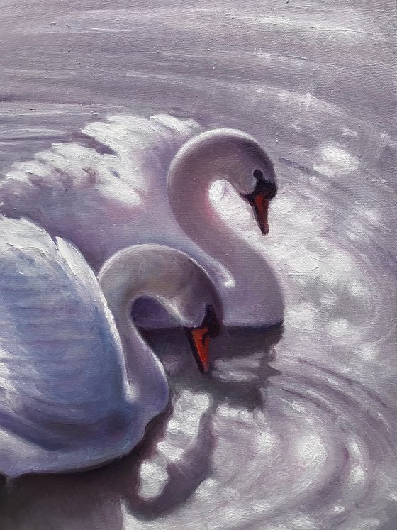 Swans