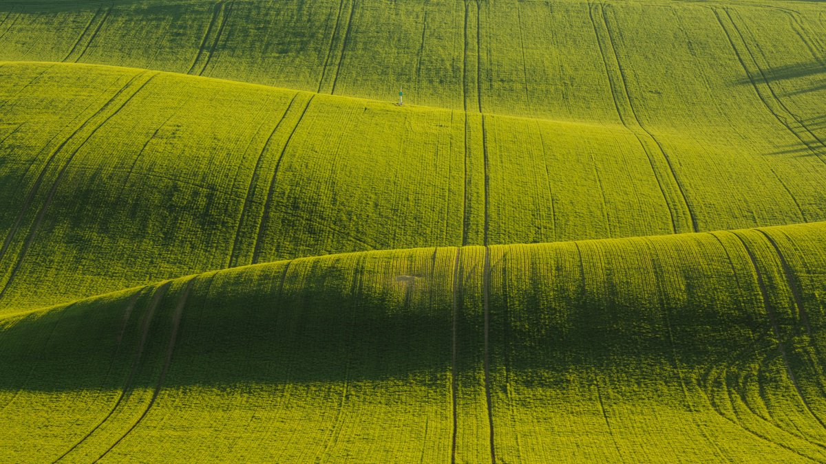 Photorealistic Landscape Photograph By Pavel Oskin, 63 X 35", The Carpet, Original Artwork