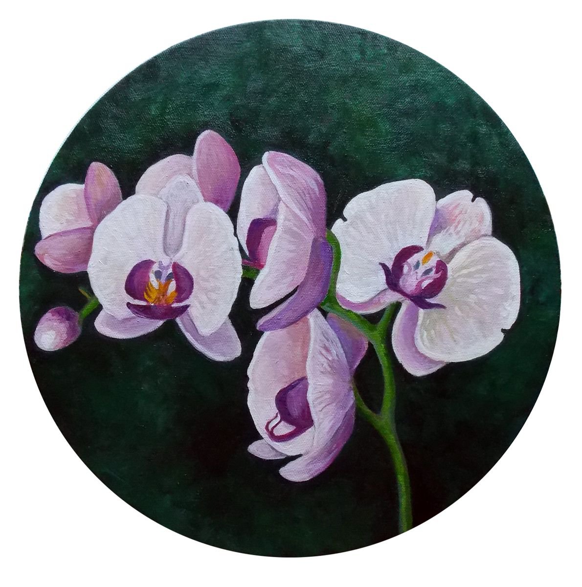 Phalaenopsis Orchids, Floral Original Oil Painting on Round Canvas by Adriana Vasile