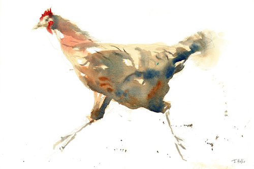 Chicken Run by James Hollis