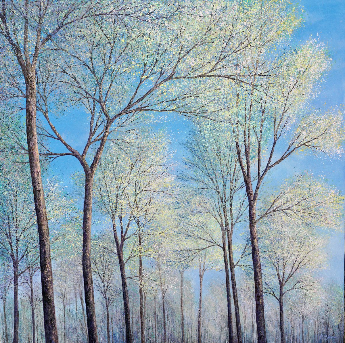 Soft Whispers In The Treetops | 100cm x 100cm by Chris Bourne