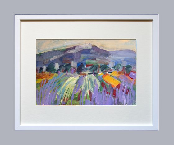 Lavender Fields