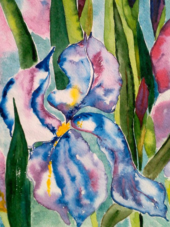 Irises Original Watercolor
