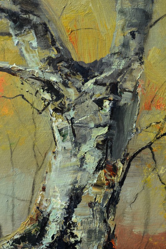 " An old tree in a misty green "