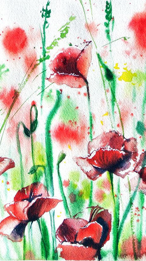 Poppies from Chavannes I by Ksenia Astakhova