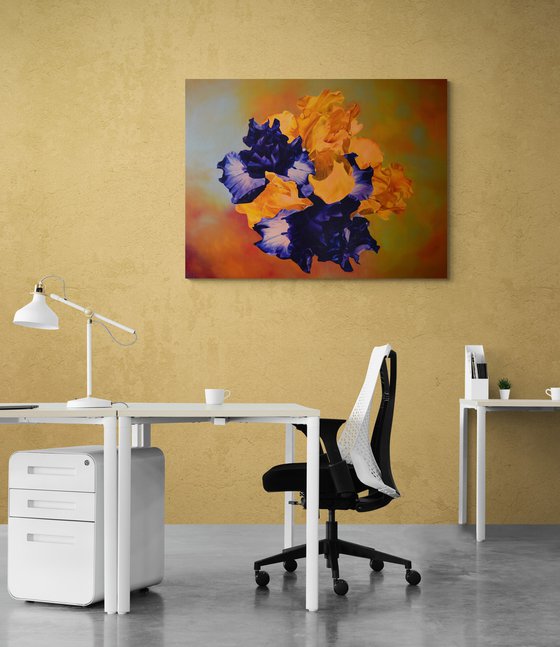 Floral contrasts