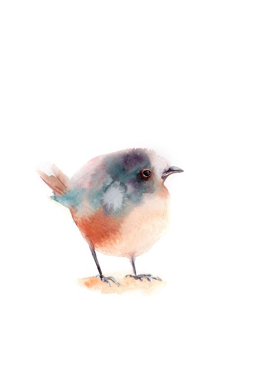 Little Bird