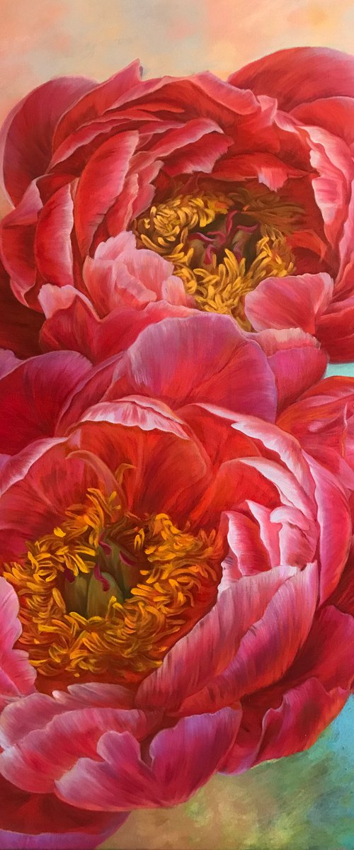 Red peonies by Elena