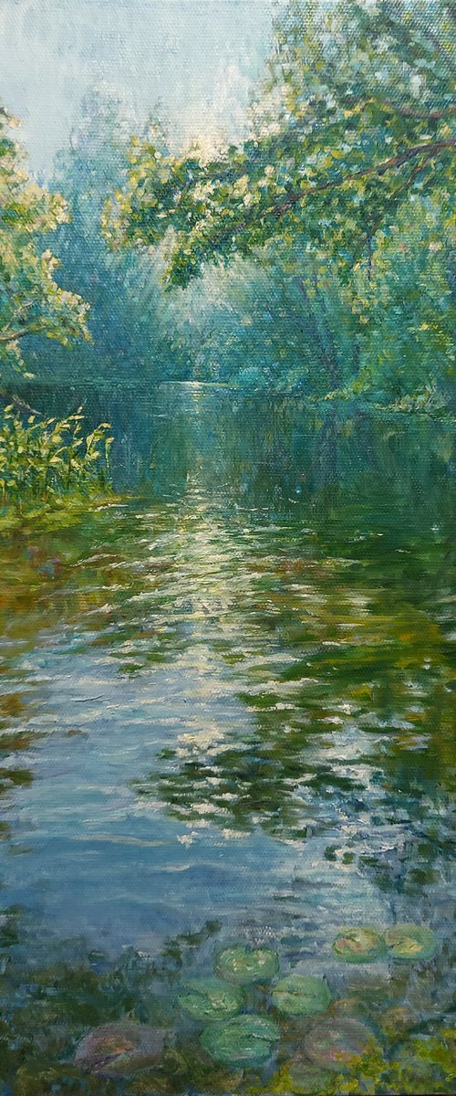 Where the Light settles by Ekaterina Orlova