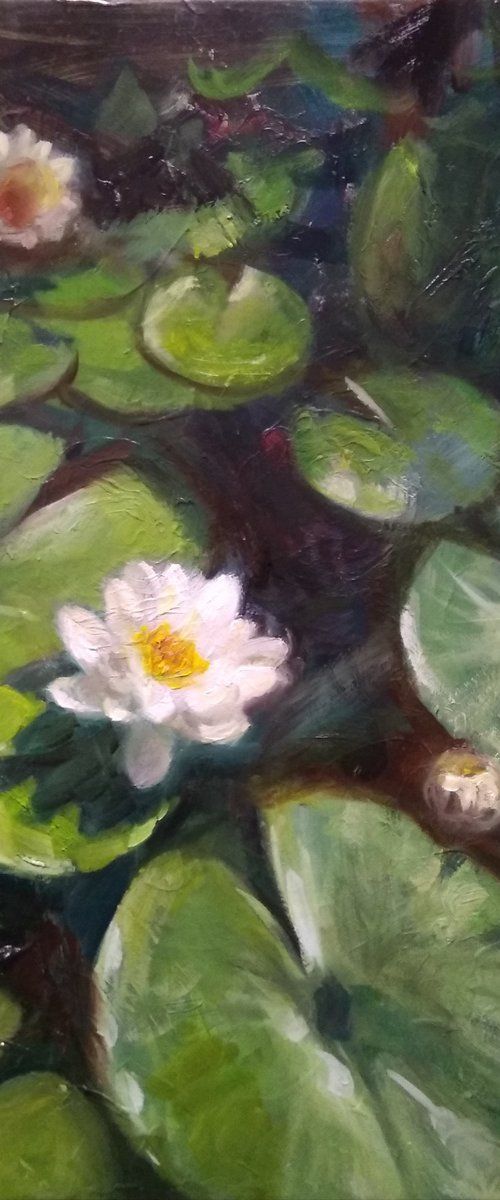 Morning Water Lily- Impasto Painting by HELINDA (Olga Müller)