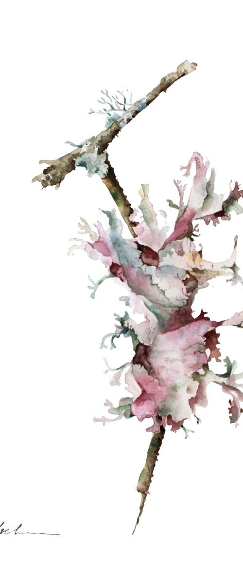 A branch with rainbow  wild moss by Olga Koelsch