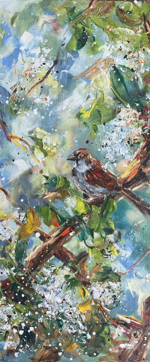 Bird Cherry Tree by Diana Malivani