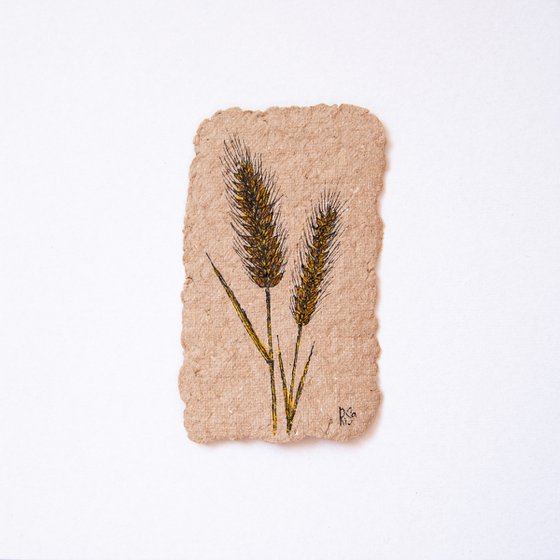 Spikelets drawing on handmade craft paper