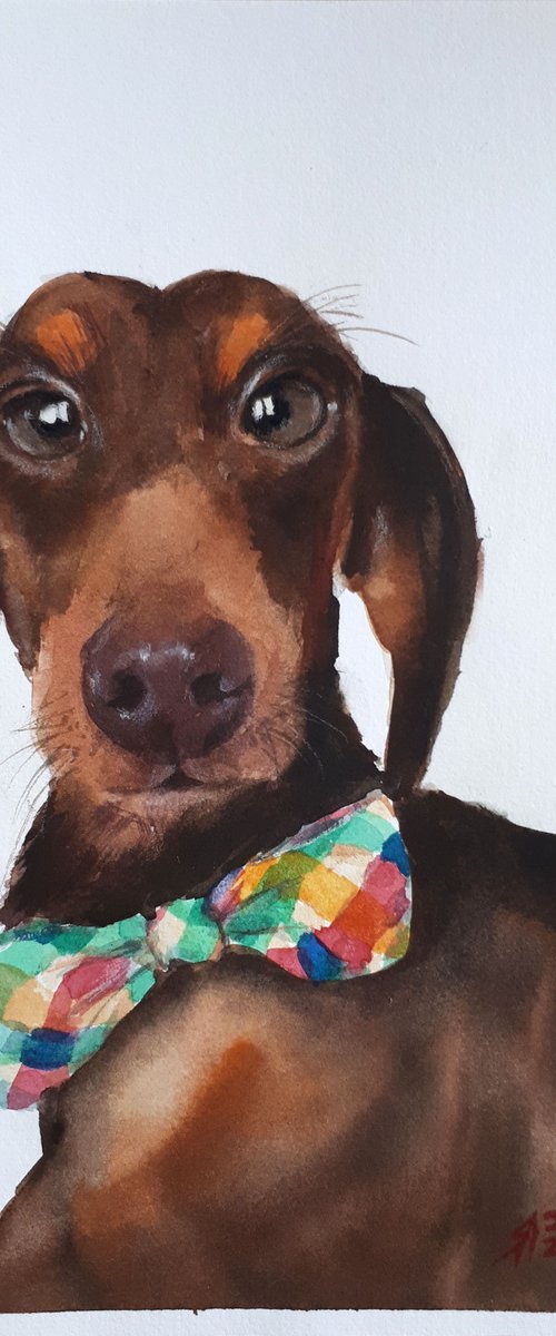 Mister Doggy...  / FROM THE ANIMAL PORTRAITS SERIES /  ORIGINAL PAINTING by Salana Art Gallery
