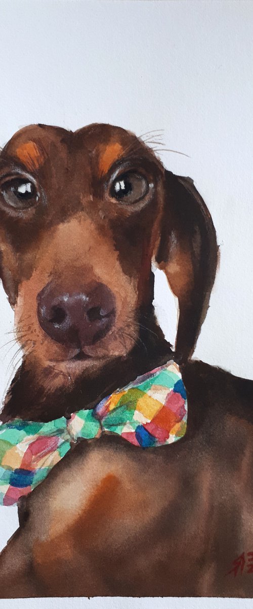 Mister Doggy...  / FROM THE ANIMAL PORTRAITS SERIES /  ORIGINAL PAINTING by Salana Art