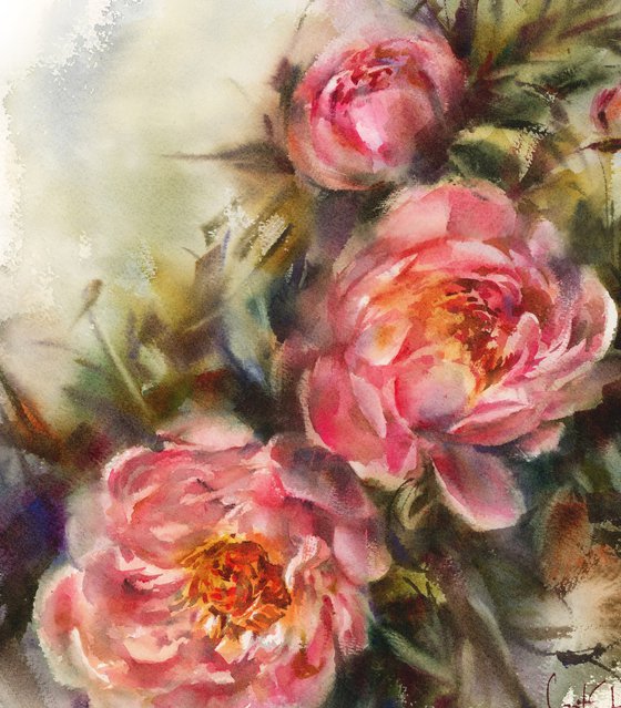 Pink Peonies
