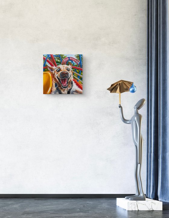 No Brakes | Dog on Rollercoaster