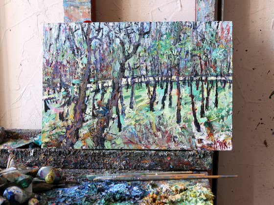 Trees by the Shore