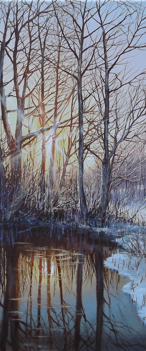 Winter Sun 3 by Oleg Riabchuk