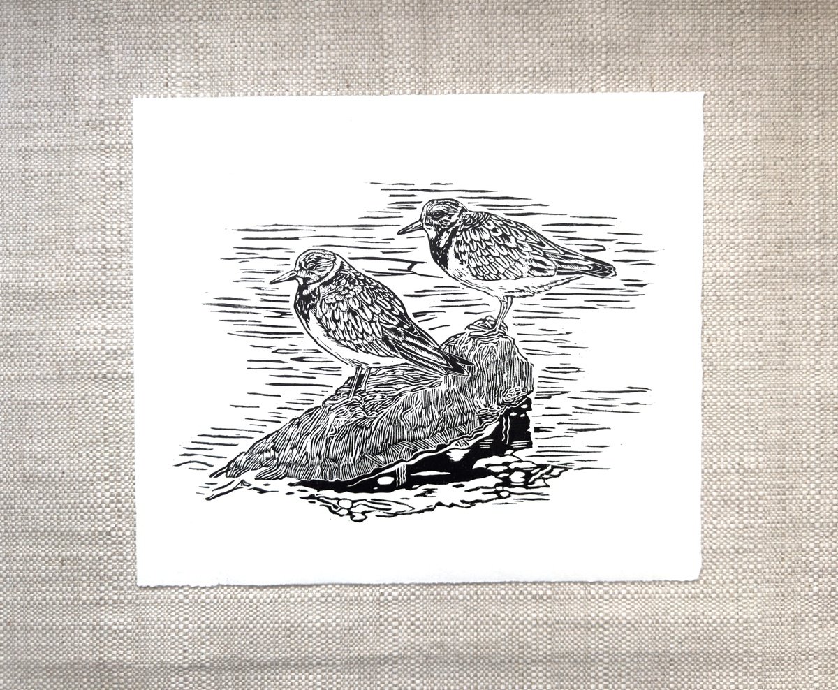 Animal Linocut By Jem Gooding, 14 X 12, Two Turnstones, Original Artwork