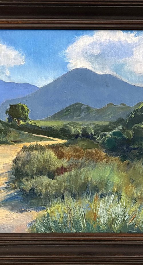 Hiking the Wilderness Park by David Block