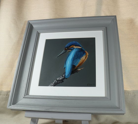 Kingfisher, Bird Artwork, Animal Art Framed