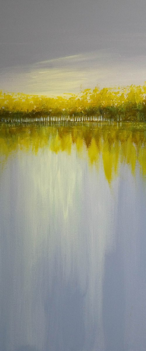 The Mirror of Greys - Water and  Trees Series by Danijela Dan