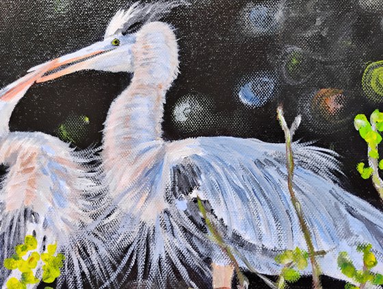 BLUE HERONS IN LOVE
