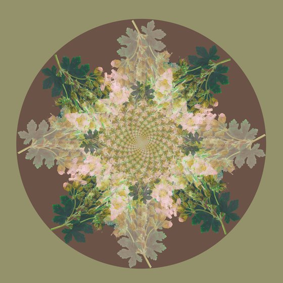 Botanical Mandala #1