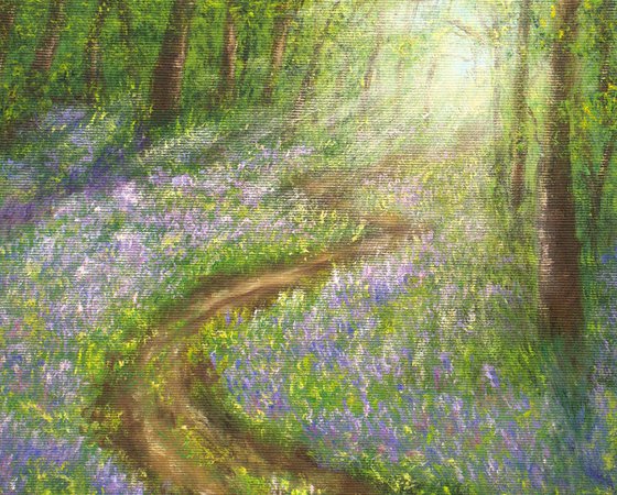 Bluebell forest