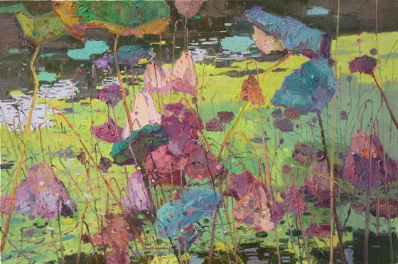 Waterlilies in pond 197