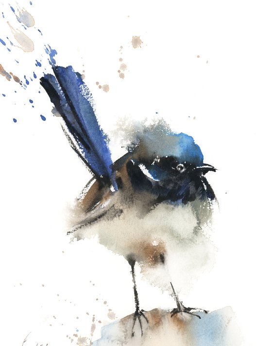 Fairy Wren Bird Watercolor Painting