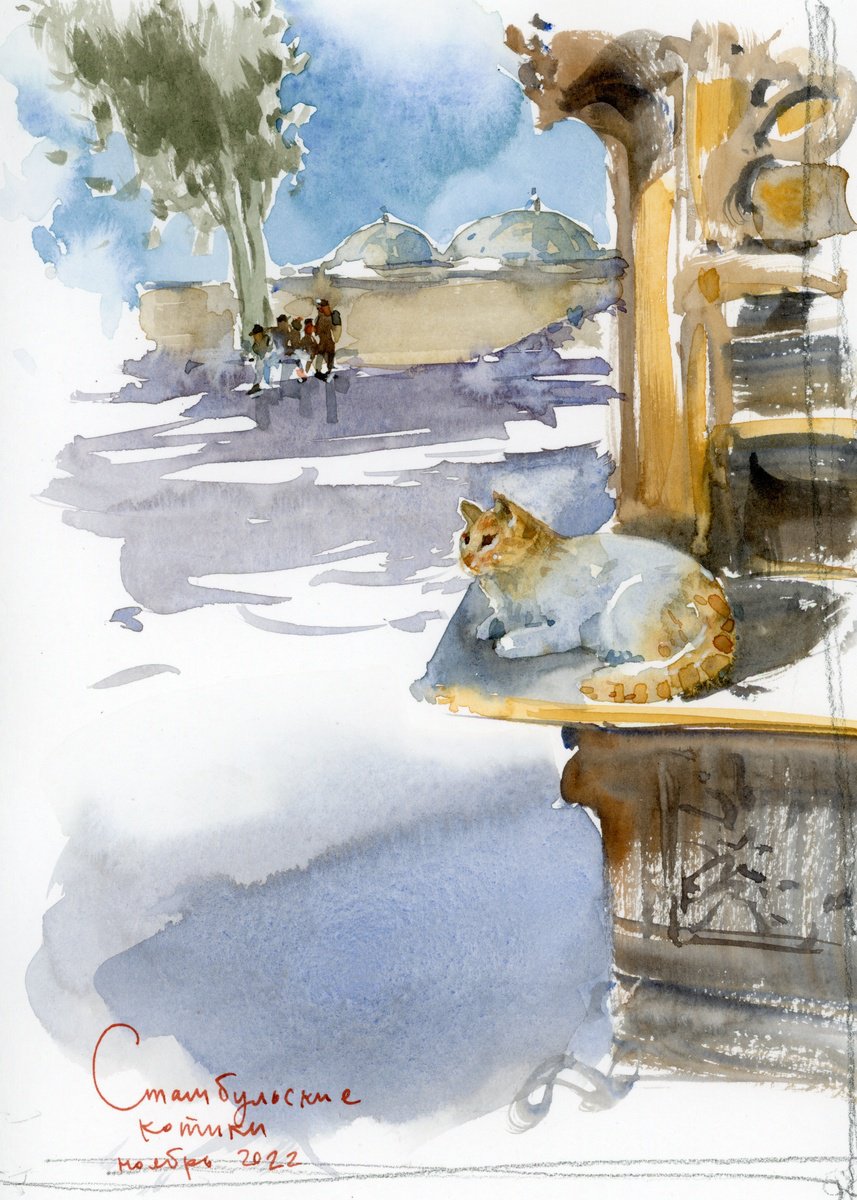 Istanbul cats by Tatyana Tokareva