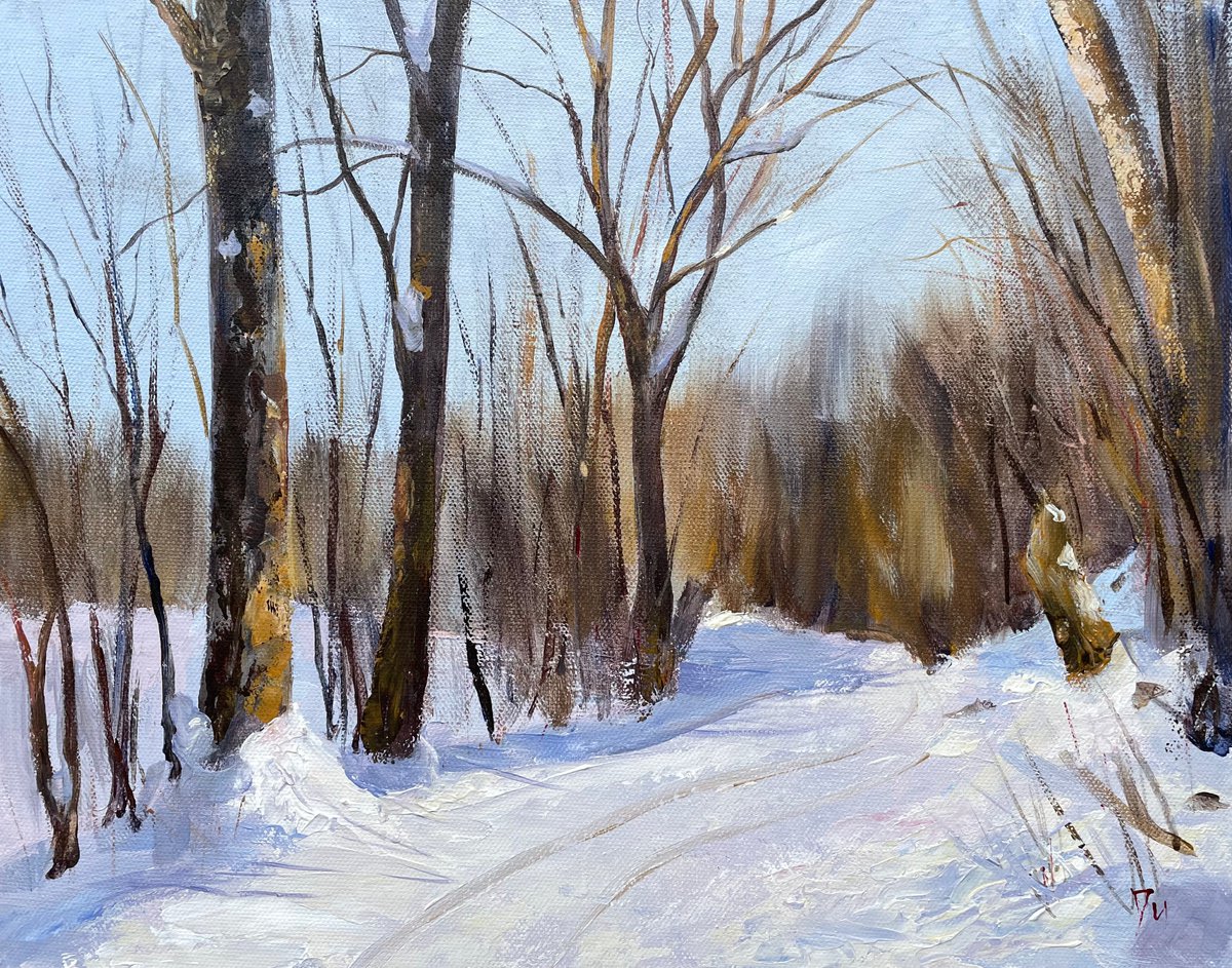 Country path in snow by Shelly Du