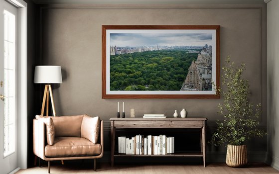 NEW YORK OASIS