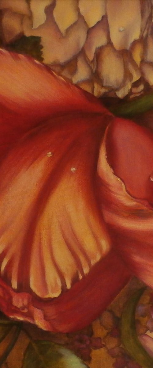 Dutch tulip by Sandra Gotautaite