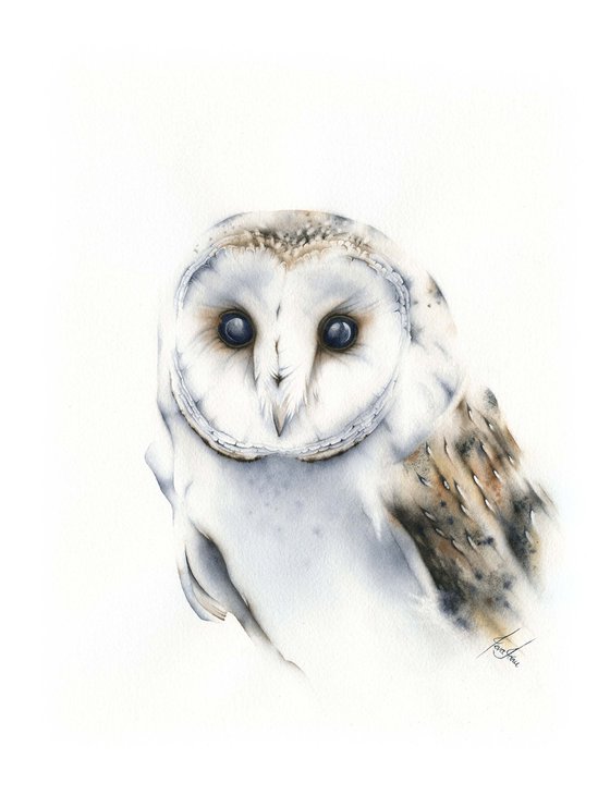 Owl's Eyes